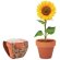 Juego de macetas de terracota Sunflower detalle 1