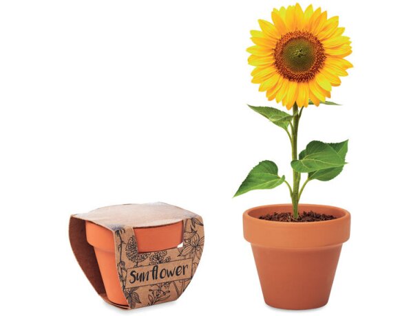 Maceta con logo de terracota fabricado en la ue Sunflower Madera detalle 4
