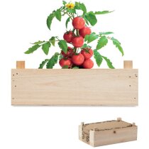 Mini-huerto tomates en caja Tomato