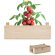 Mini-huerto tomates en caja Tomato detalle 1