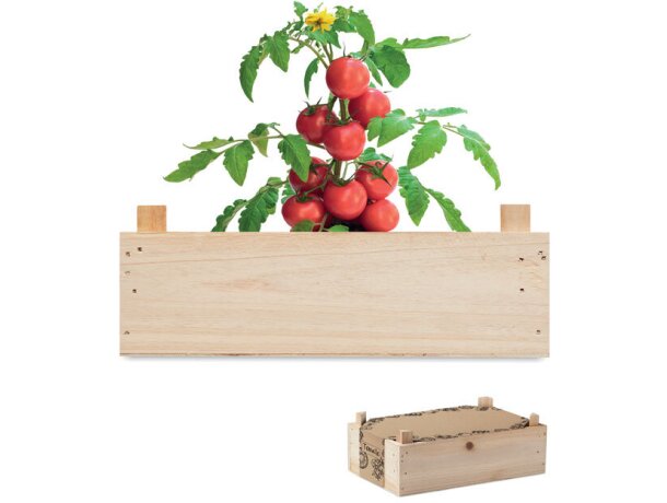 Mini-huerto tomates en caja Tomato Madera detalle 4