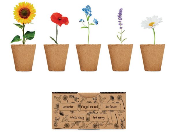 Kit de cultivo de flores Flowers Beige detalle 4
