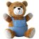 Muñeco oso de peluche personalizado azul