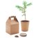 Set pino Growtree™ personalizado
