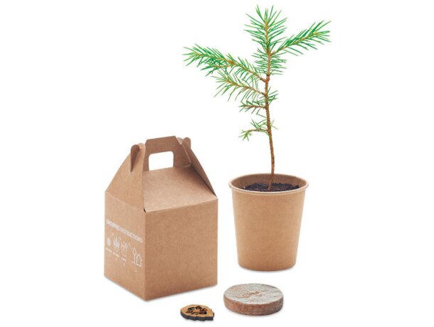 Set pino Growtree™ personalizado