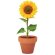 Juego de macetas de terracota Sunflower Madera detalle 5