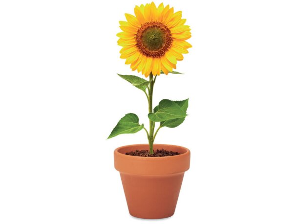 Juego de macetas de terracota Sunflower Madera detalle 4