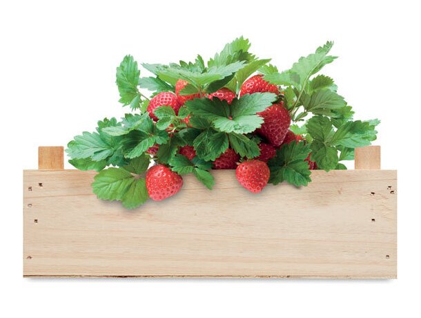 Kit de fresas en caja madera Strawberry Madera detalle 3