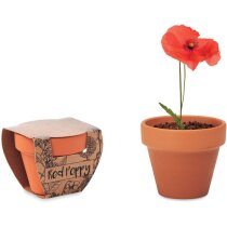 Juego de macetas de terracota Red Poppy personalizado