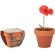 Juego de macetas de terracota Red Poppy personalizado