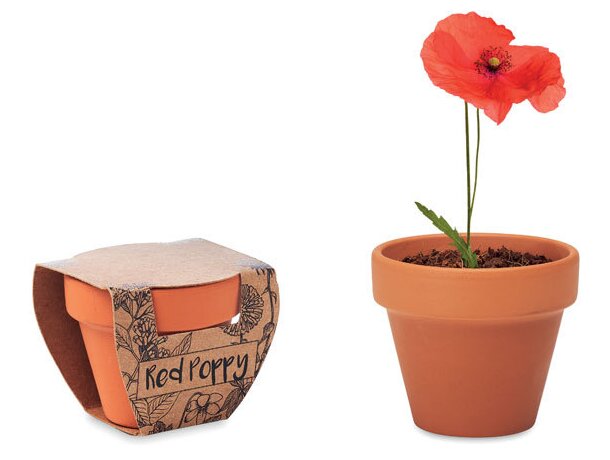 Juego de macetas de terracota Red Poppy personalizada