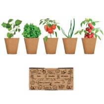 Kit Salad cultivo 5 variedades semillas beige