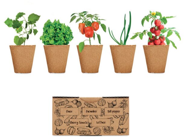 Kit cultivo Salad 5 variedades semillas huerto urbano papel Beige detalle 4