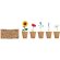 Kit de cultivo de flores Flowers Beige detalle 4