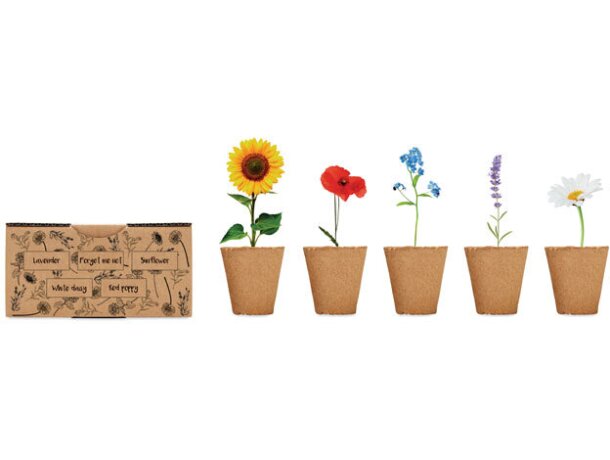 Kit de cultivo de flores Flowers Beige detalle 3