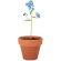 Maceta fabricado en la ue de terracota Forget Me Not Madera detalle 4