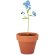 Juego de macetas de terracota Forget Me Not Madera detalle 5