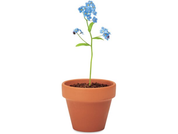 Maceta fabricado en la ue de terracota Forget Me Not Madera detalle 4