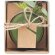 Porta velas de navidad forest con logotipo con decoración de bosque Verde detalle 2