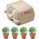 Sets de canastos personalizados de terracota 4 piezas Cress