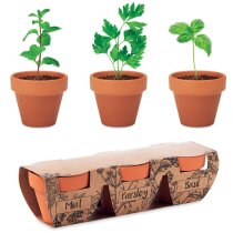 Juego de macetas de terracota Flowerpot