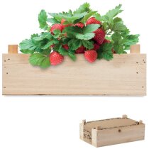 Kit de fresas en caja madera Strawberry