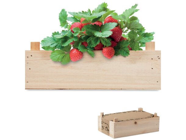 Kit de cultivo de fresas con logotipo fabricado la ue madera Strawberry Madera detalle 4