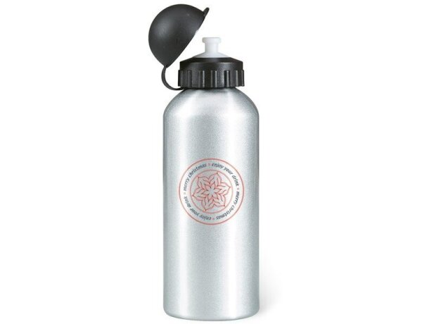 Bidón de agua personalizado de metal 600 ml personalizado plateado mate