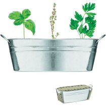 Maceta para regalo de metal con semillas de tomillo y peregil