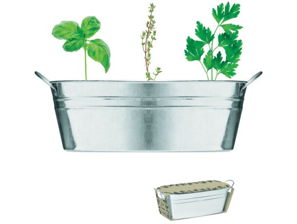 Maceta personalizada en metal zink Mix Seeds Plateado mate detalle 4