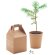 Set pino Growtree™ personalizada