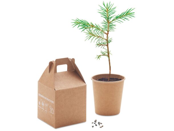 Set pino Growtree™ personalizada