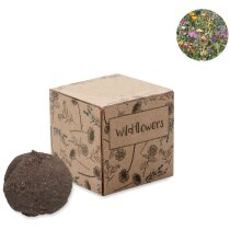 Kit de semillas de cartón con flores silvestres