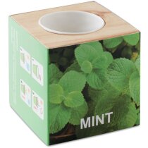 Maceta de madera forma de caja con semillas de menta
