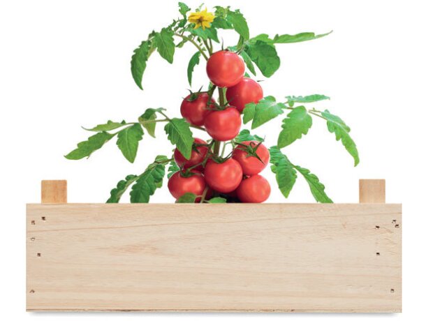 Mini-huerto tomates en caja Tomato Madera detalle 3