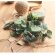 Set 2 porta velas de Navidad Moss Verde detalle 6