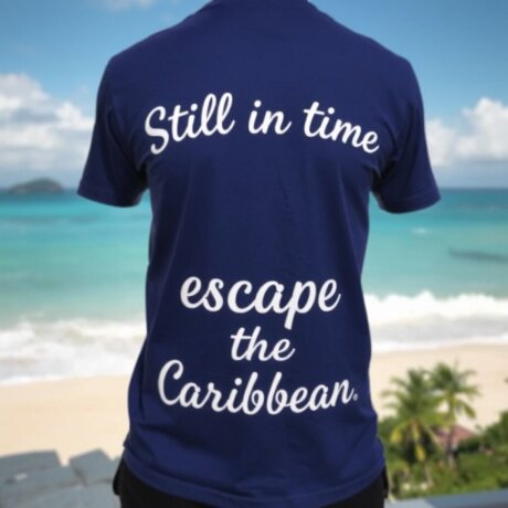 Camisetas para despedidas personalizadas baratas