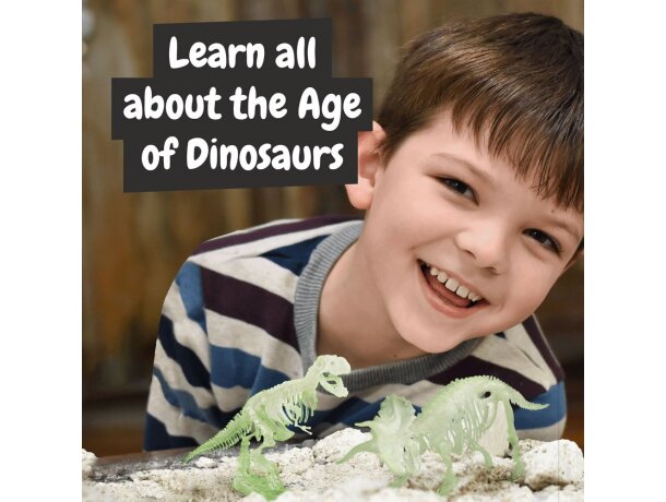 Kit de excavación de fósiles t-rex y triceratops science4you Multicolor detalle 6