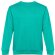 Sudadera Delta unisex de algodón y poliéster con interior cardado Verde turquesa detalle 7