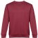 Sudadera Delta unisex de algodón y poliéster con interior cardado Burdeos detalle 30