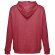 Sudadera thc amsterdam ii con capucha y cremallera para hombre Rojo matizado detalle 2