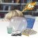 Jurassic Pets Kit I juego educativo infantil ecosistema acuático Multicolor detalle 5