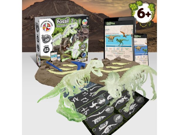 Kit de excavación de fósiles t-rex y triceratops science4you Multicolor detalle 3