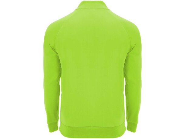 Sudadera técnica con cremallera un cuarto Epiro de Roly detalle 6