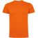 Camiseta manga corta infantil Dogo Premium Roly en algodón Naranja