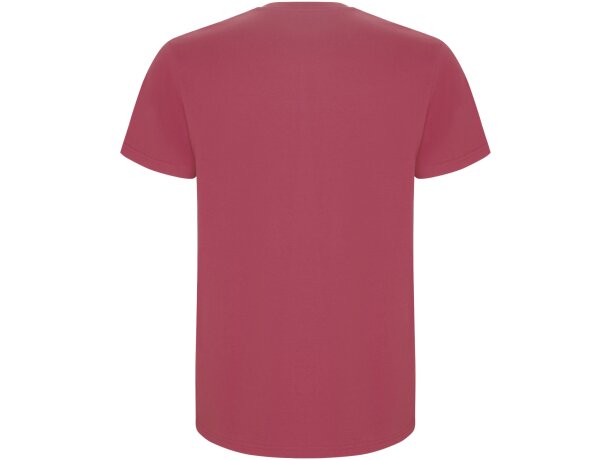 Camiseta manga corta hombre Stafford Roly algodón 190 g/m² detalle 62