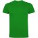 Camiseta manga corta infantil Dogo Premium Roly en algodón Verde césped