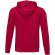 Sudadera con capucha Charon para hombre con interior afelpado Rojo detalle 9
