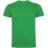 Camiseta manga corta infantil Dogo Premium Roly en algodón Verde irlandés