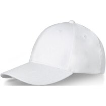 Gorra con visera precurvada y 6 paneles. Ideal para publicidad.